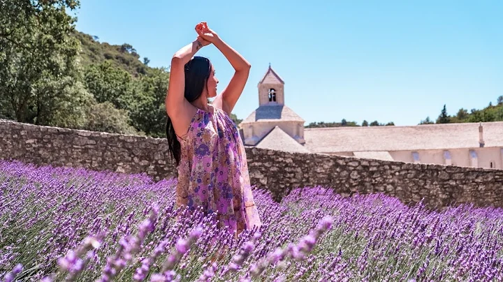 LAVENDER FIELDS in PROVENCE | GORDES