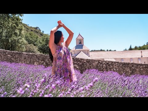 LAVENDER FIELDS in PROVENCE | GORDES