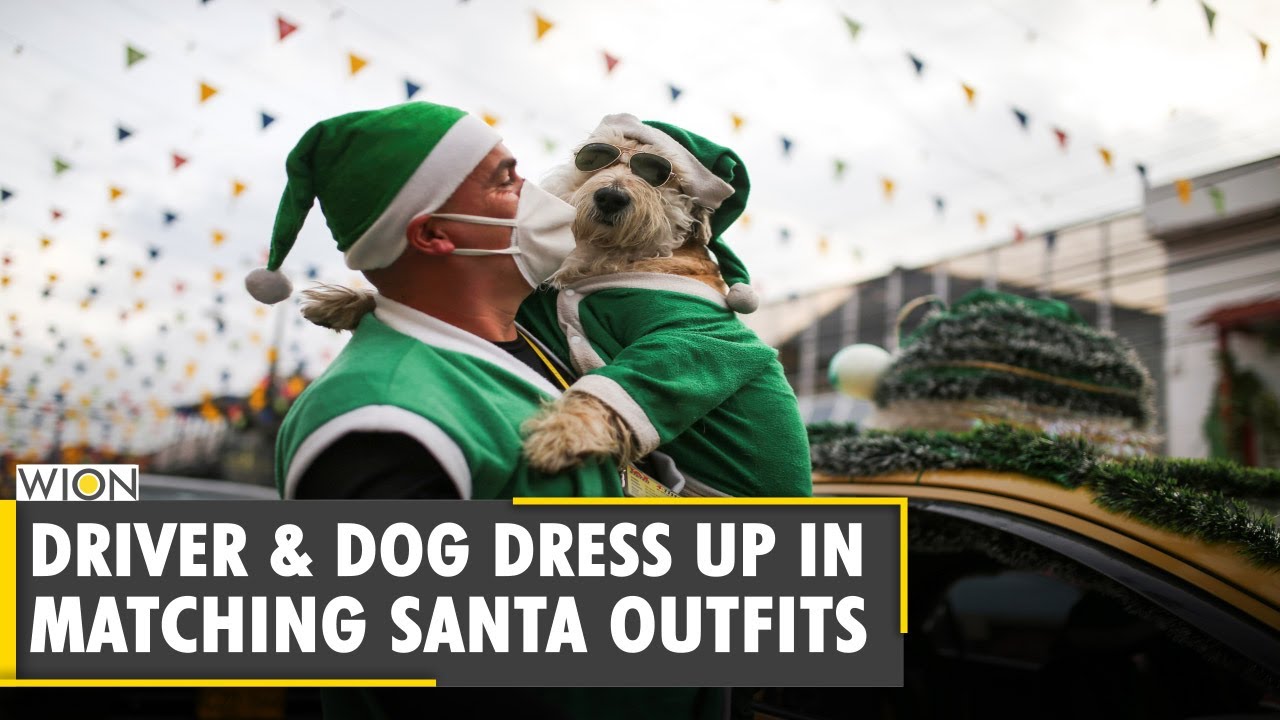 Taxi Driver And Co Pilot Dog Spread Christmas Cheer World News Wion News Youtube