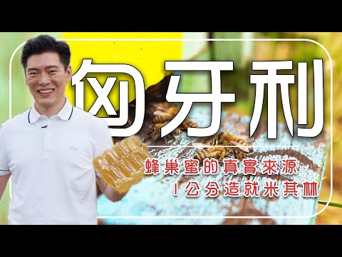 匈牙利最頂級「蜂巢蜜」原來是這味！米其林女主廚的「1 公分食材魔法」完全超出想像！｜匈牙利布達佩斯Hungarian  Budapest  Michelin cuisine｜ #廖科溢