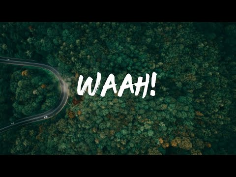 Diamond Platinumz Waah Lyrics Lyrics Video Ft Koffi Olomode