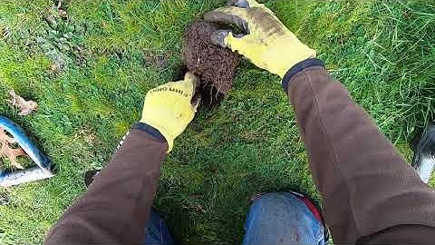 CURB STRIP CHAOS!! Episode 32. Simplex+ Extremely fast swing speed still smacks coins BIG TIME!!!