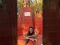 LIMITLESS arrive bientôt #music #love #makemefamous