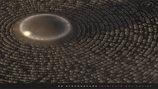 Dr Strangefunk  Tasty Carbon with Ninesense U0026 Spacey Koala