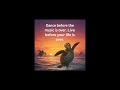 Turtle talk #mentalhealth #selfcare #selflove #faith