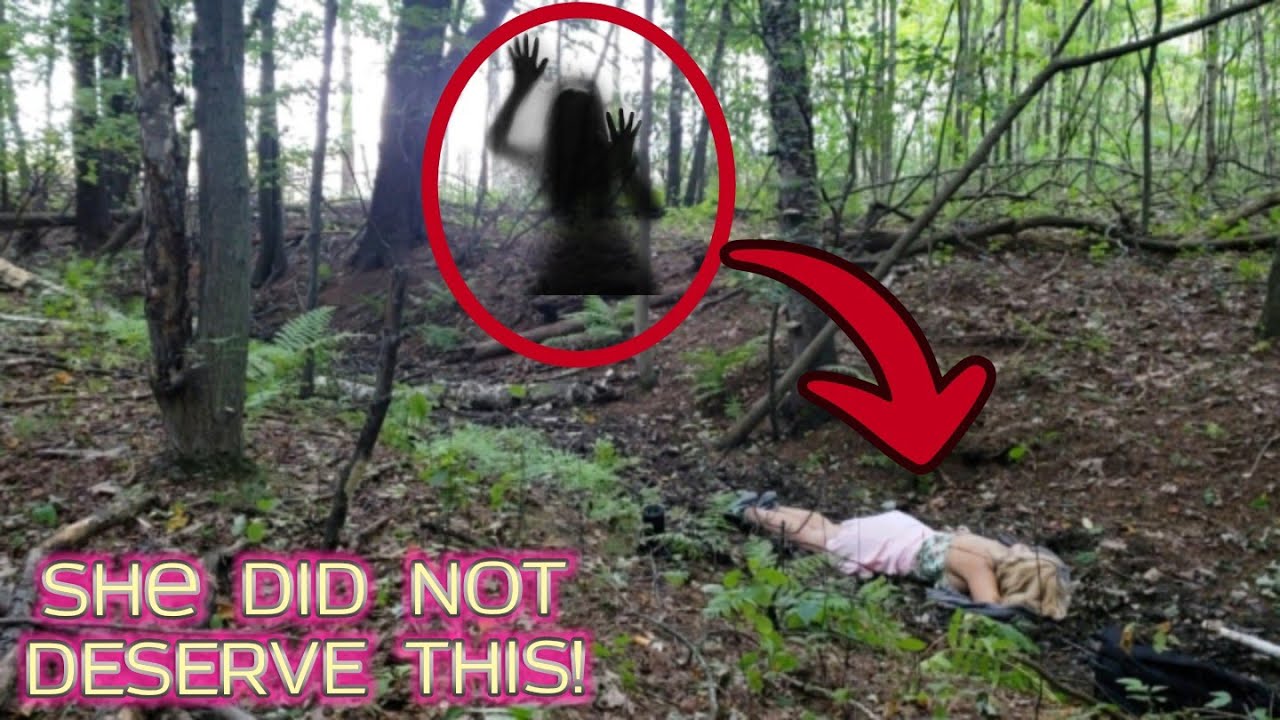 You Won't Believe What Happened in this Forest!