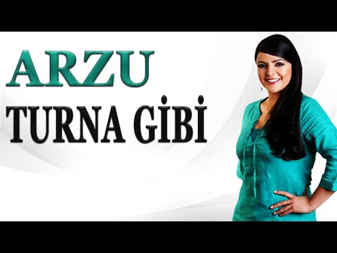 Arzu | Turna Gibi (Türküler 2026)