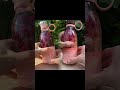 Grape smoothie #juiceblender #juiceconcentrate #fruitsmoothie