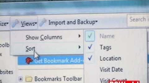 Firefox 3.0 beta version