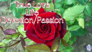 Ouran Highschool Host Club Flower Meanings