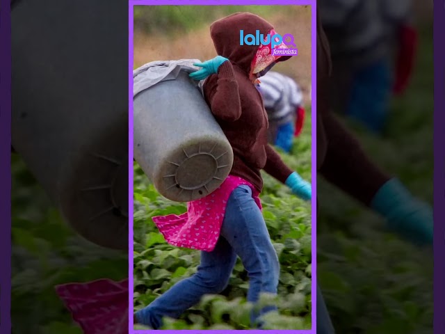 #regularización en #España.                #PeriodismoFeminista