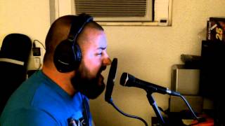 Bonnie Raitt - I Cant Make You Love Me - cover by Matt Turkington @murkington