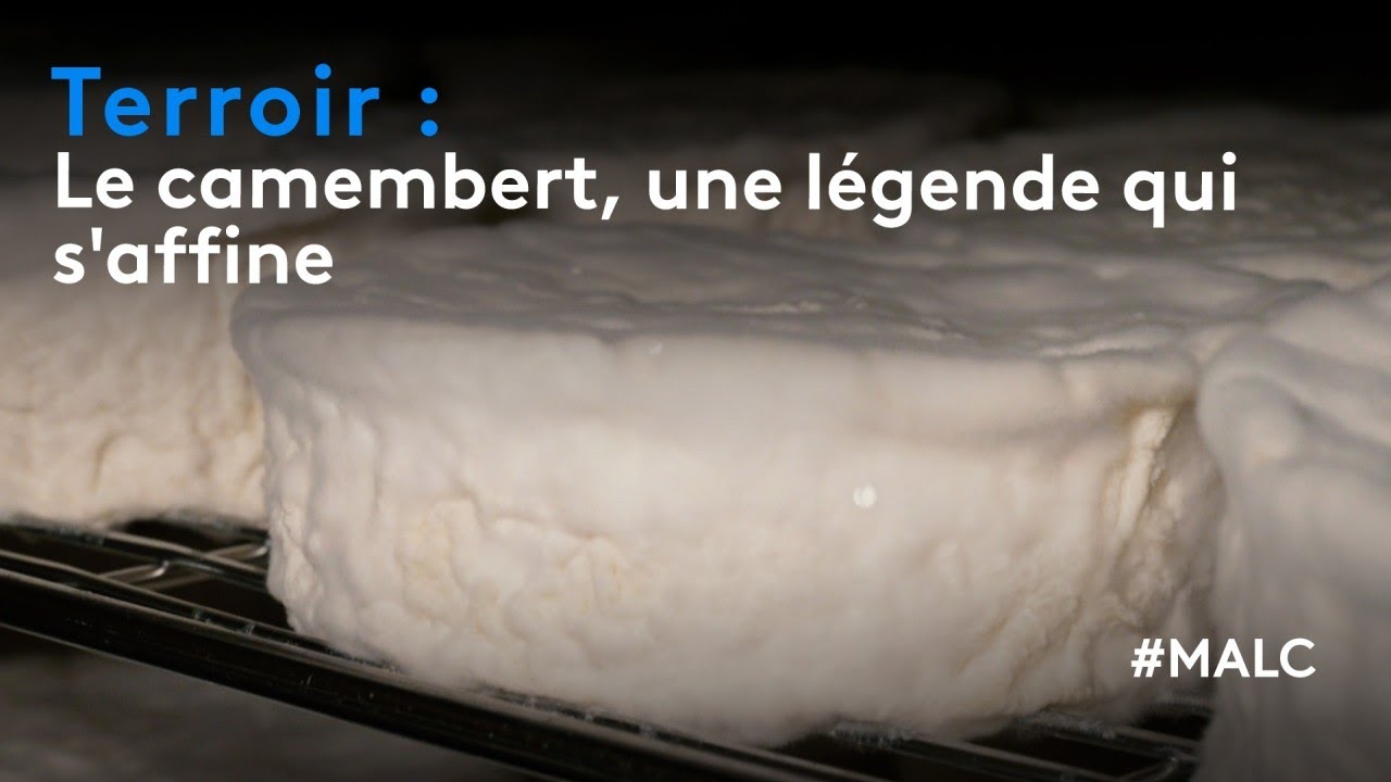 Terroir : le camembert, une légende qui s'affine