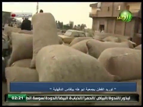 مصر الزراعية تقرير من محافظة الدقهليه بتوريد القطن لجمعية ابوطة ببلقاس بالزراعية مباشر 16 ديسمبر