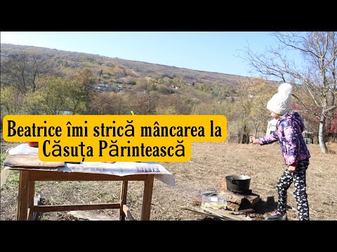 Am urcat în pod la Căsuța Părintească