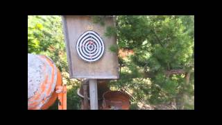 cobra crosbow diy speargun/harppoon conversion