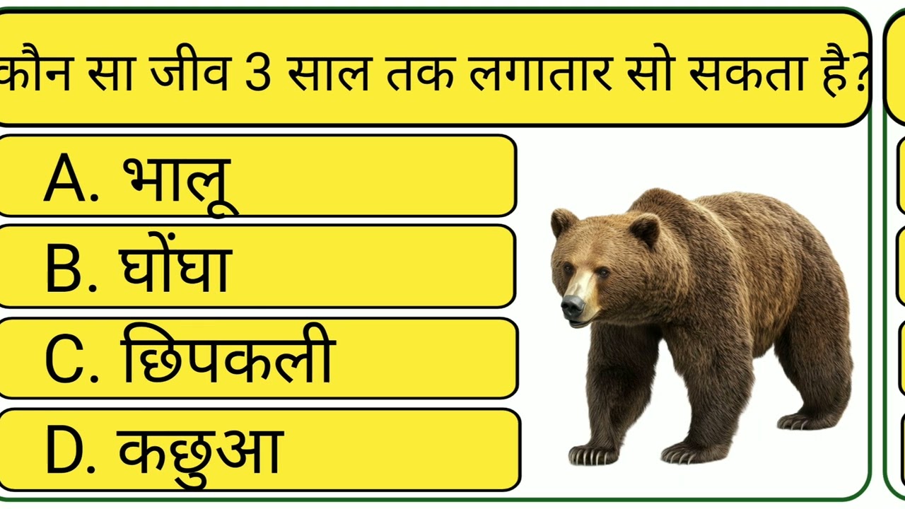 GK || Questions || GK In Hindi ||GK Questions and Answer || GK Quiz ||