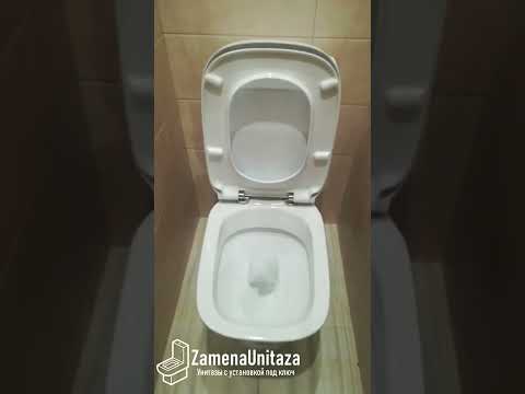 Тест смыва унитаза Roca Debba Горизонтальный Выпуск Тест смыва унитаза Roca Debba Горизонтальный Выпуск