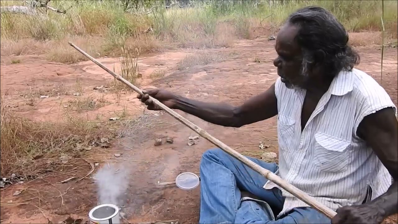 Bloodwood Tree Kino Gum Varnish