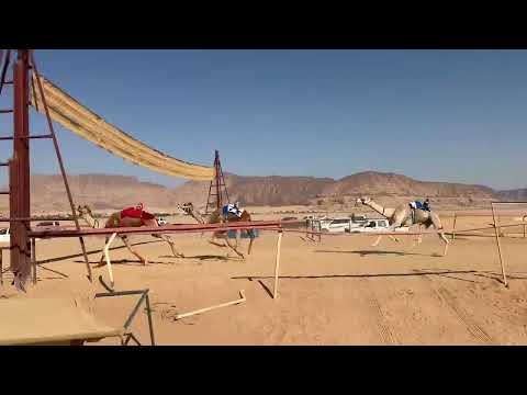 ش١ قعدان جذاع زلزال اعتيق علي لافي الزلابيه