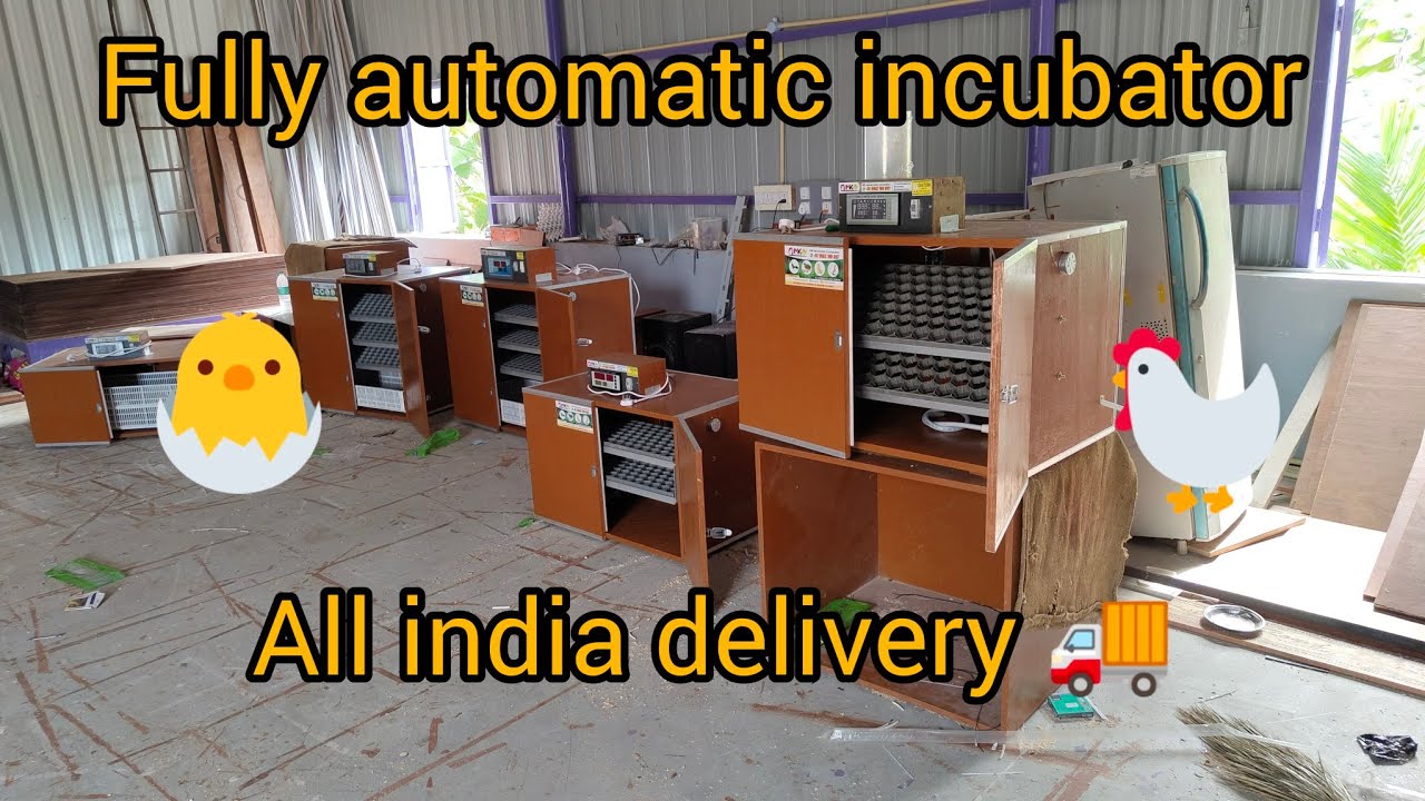 100 eggs automatic incubator 200 eggs automatic incubator 