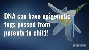 Epigenetics intro