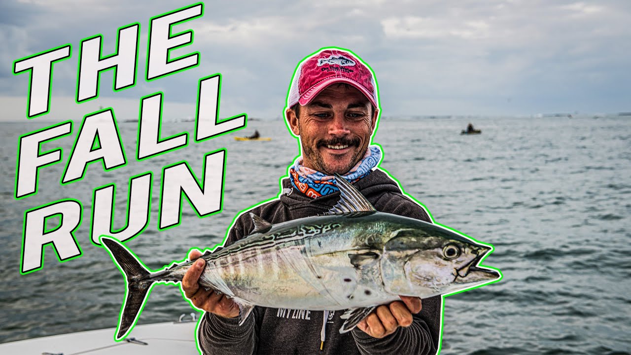 FALL RUN FISHING Rhode Island ft. Woozy Fishing! Stripers, Bluefish, and Albies BLITZING