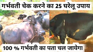 Video Download