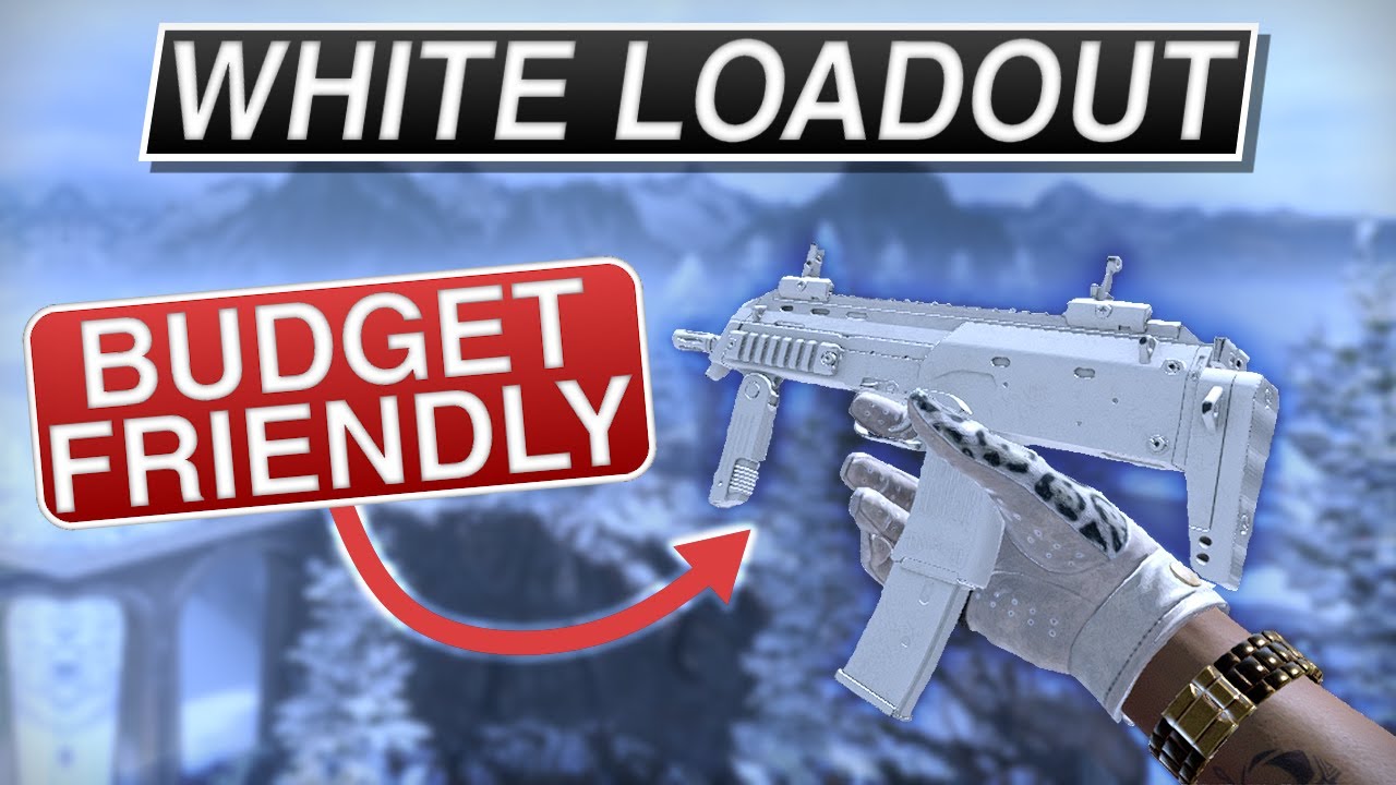 THE BEST BUDGET WHITE LOADOUT IN CS2!