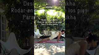 Diferentes transiciones para pasar a adho mukha svanasana en tu vinyasa #shorts #yoga