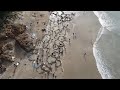 Hot water Beach, Coromandel.