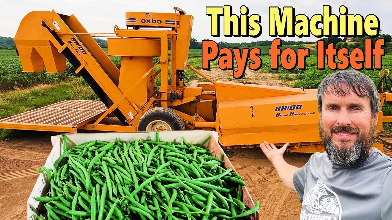 OXBO BH100: Green Bean Harvesting Machine That Makes Me Thousands