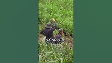 Junior vs. Senior Mining Companies