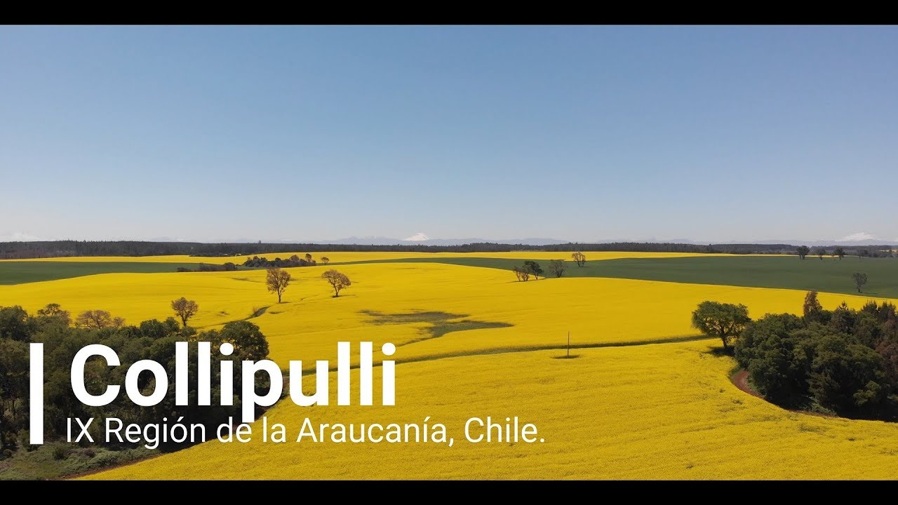 Collipulli. Viaducto del Malleco Drone