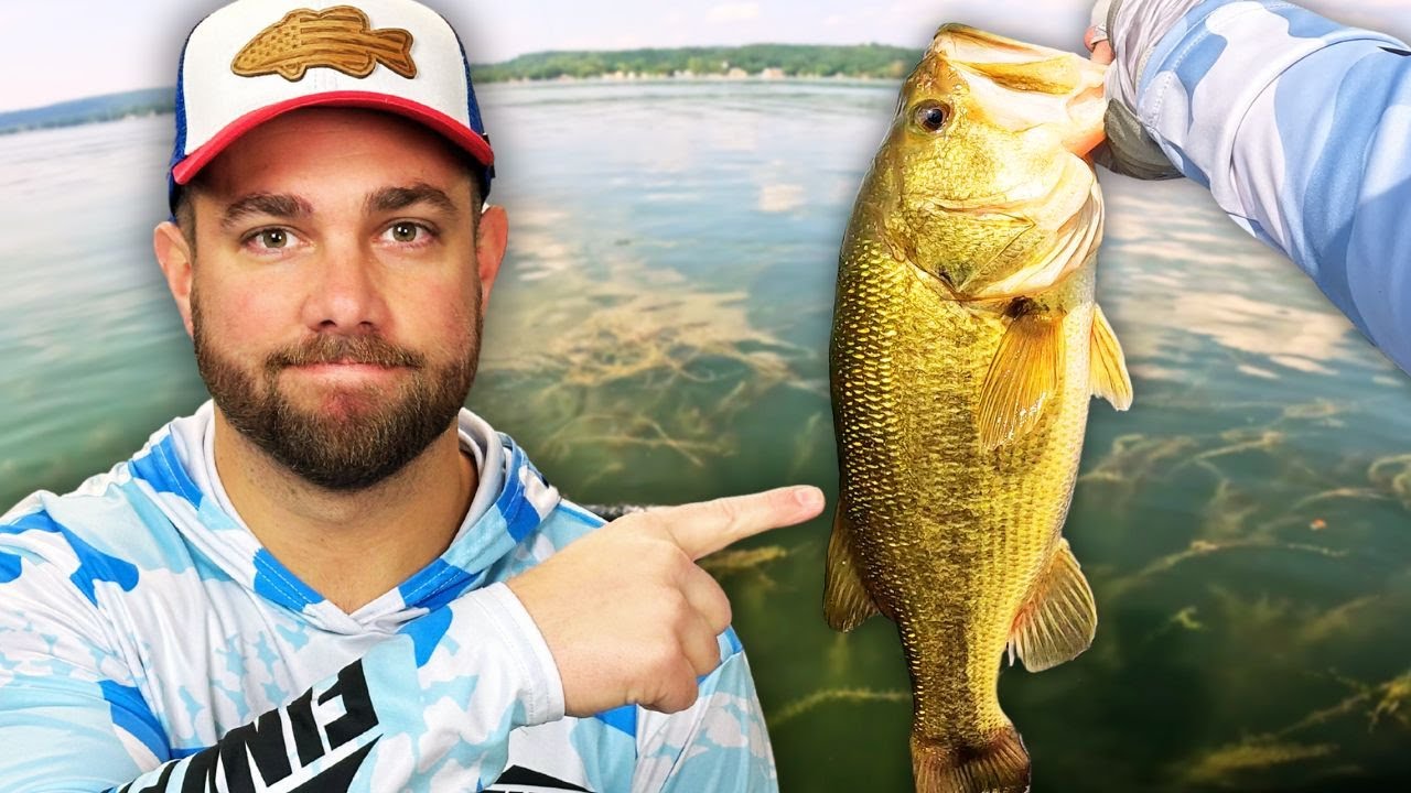How to ALWAYS Land ON The Fish