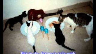 JamesDeagle37: Kitty Cat Home.wmv