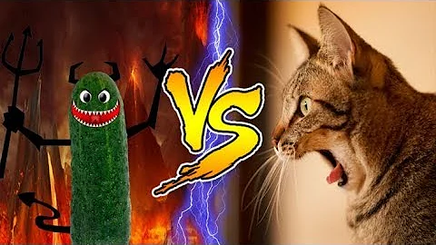 Cats scared of Cucumbers Compilation - Cats Vs Cucumbers - Funny Cats