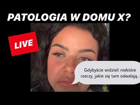 Z KIM Z TEAMU LEXY MA NAJLEPSZY KONTAKT? - LIVE