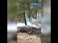 Şanlıurfa'da ormanlık alanda yangın
