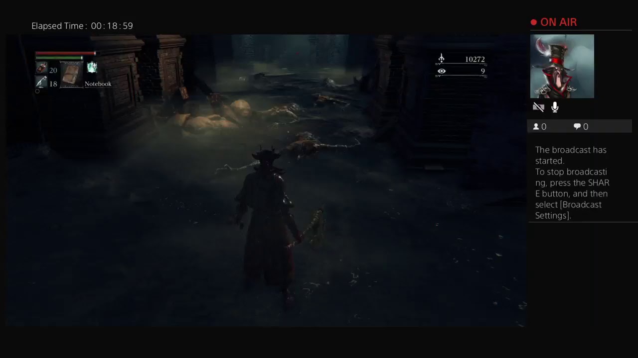 I'm GONNA DIE!?, Bloodborn gameplay!!