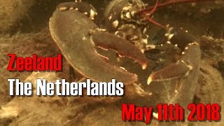 Zeeland - Scharendijke