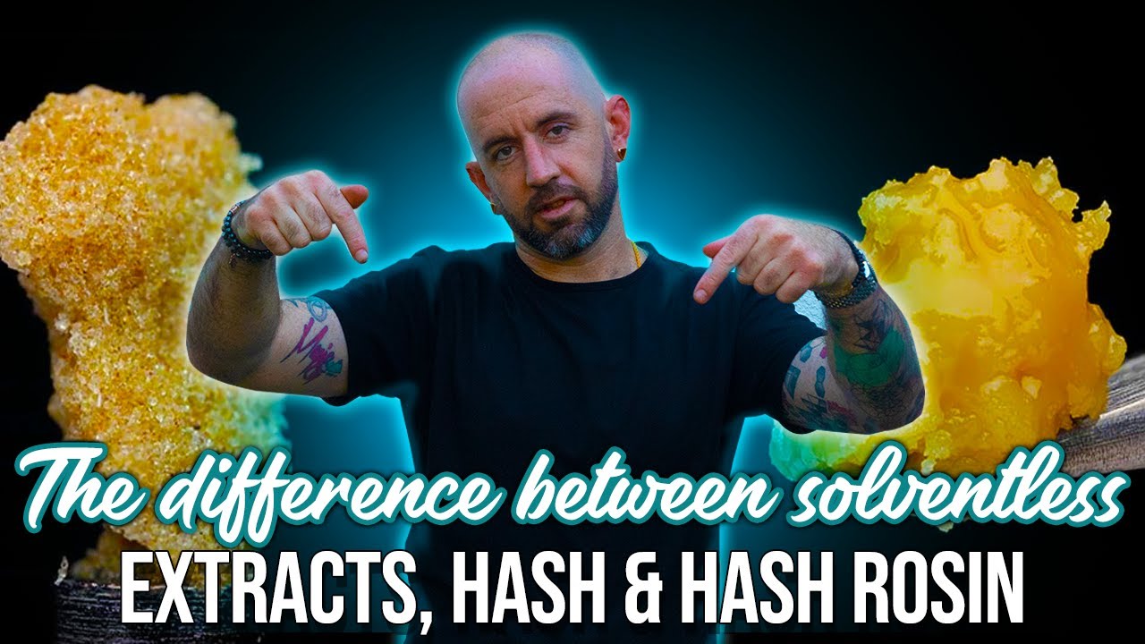 The Difference Between Solventless Extracts, Hash and Hash Rosin