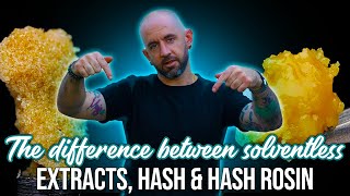 The Difference Between Solventless Extracts, Hash And Hash Rosin