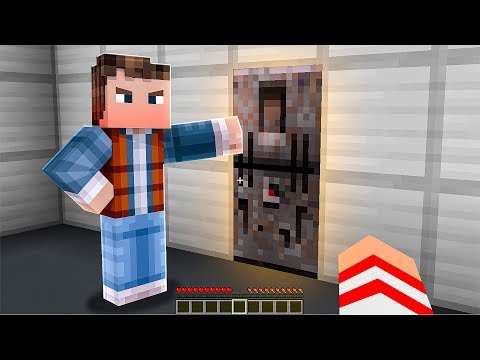 REVELADO O QUE TEM ATRÁS DA PORTA SECRETA DO MCFLY NO MINECRAFT !