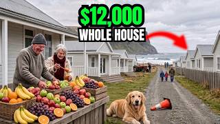 $12,000 Buys a Whole HOUSE Here — And the Town Is Begging You to Come