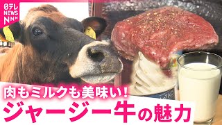 【人気】ステーキにもスイーツにも！ジャージー牛の魅力　北海道　NNNセレクション screenshot 3
