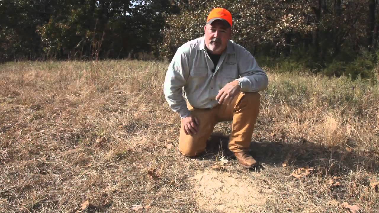 Deer Hunting 101: Using deer attractant supplements