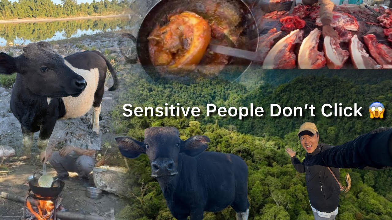 Searching Methun 😭Life Of Tribal People ||Adi Tribes Of Arunachal Pradesh 