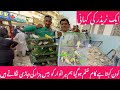 Birds Market Lalukhet Sunday Video Latest Update 23-11-25 Cocktail Budgies Java All variety Of Birds