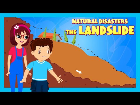 NATURAL DISASTERS :